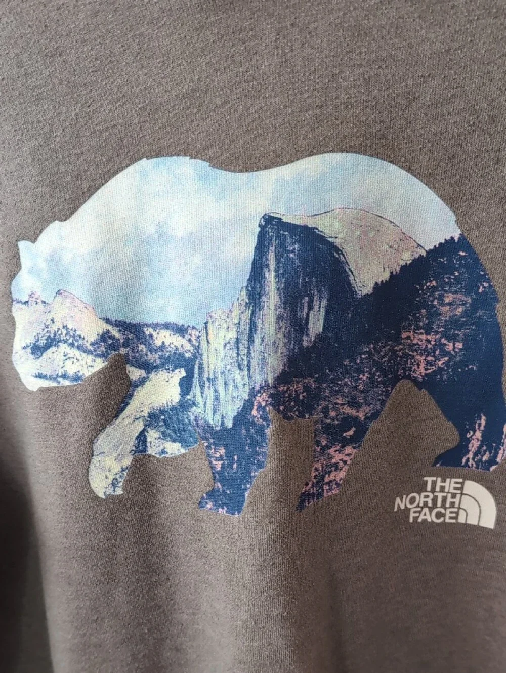 The North Face Men's TNF Bear Pullover Hoodie Grey Large NF0A5J93